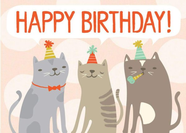 Открытки с котами на др