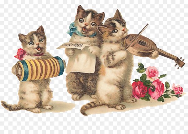 Кот поздравляет