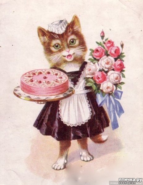 Кошечка поздравляет