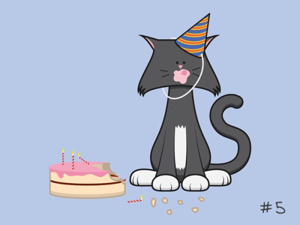 Котик поздравляет с днем рождения