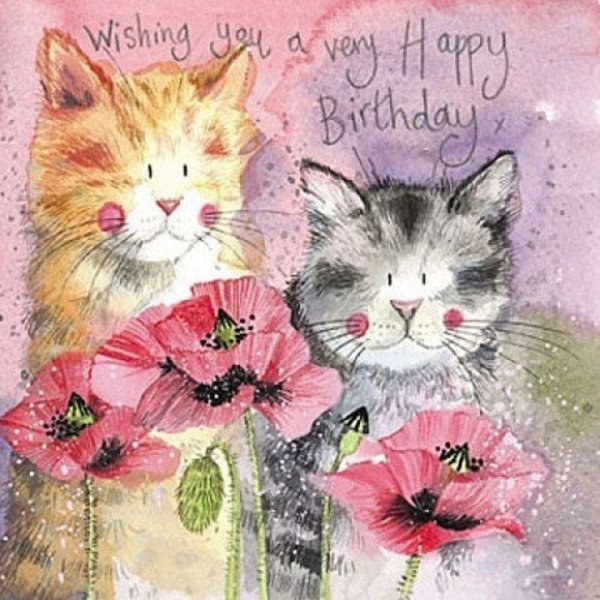 Открытки с др с кошками