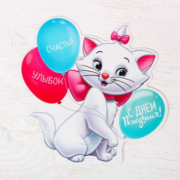 Котик поздравляет с днем рождения