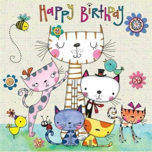 Забавные открытки на др