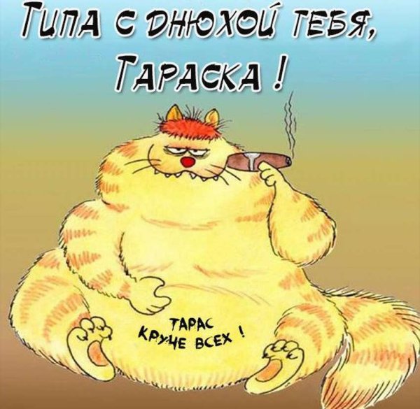 Смешные открытки с днем рождения