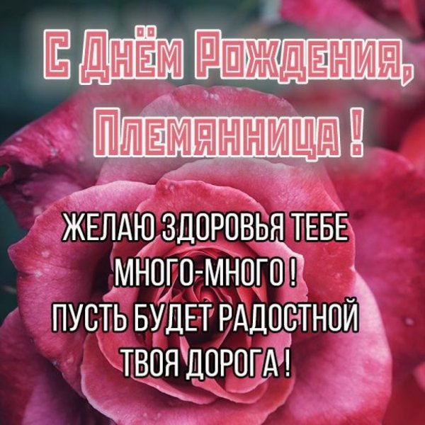 Поздравление с днём рождения плкмяннице