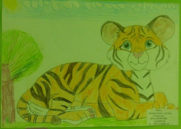 Рисунок на день тигра