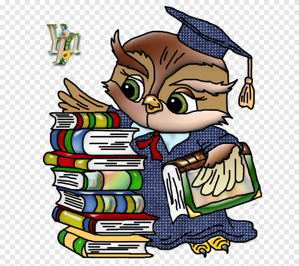 Сова с учебником