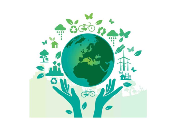 Экология картина