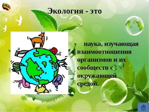 Экологические знания