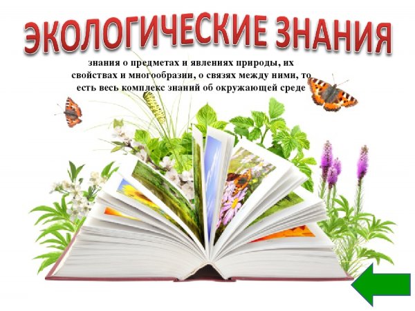 День экологических знаний