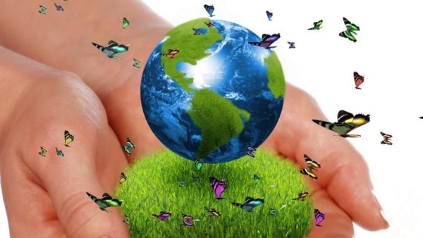 Эмблема юные экологи