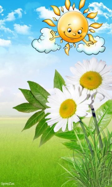 Ромашка солнышко