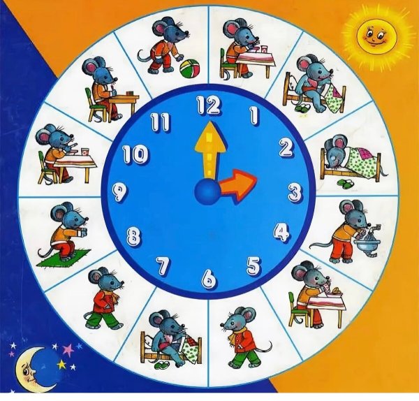 Распорядок дня