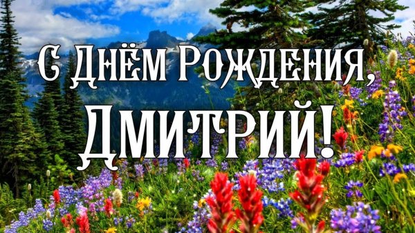 Поздравления с днём рождения Диме