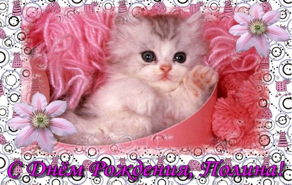 С днём рождения Полина
