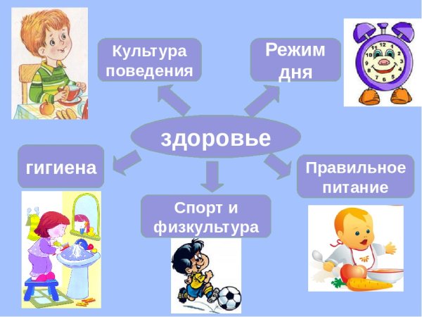 Распорядок дня гигиена