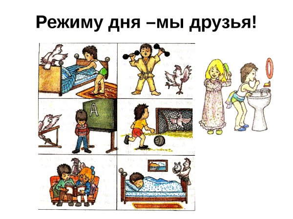 Распорядок дня