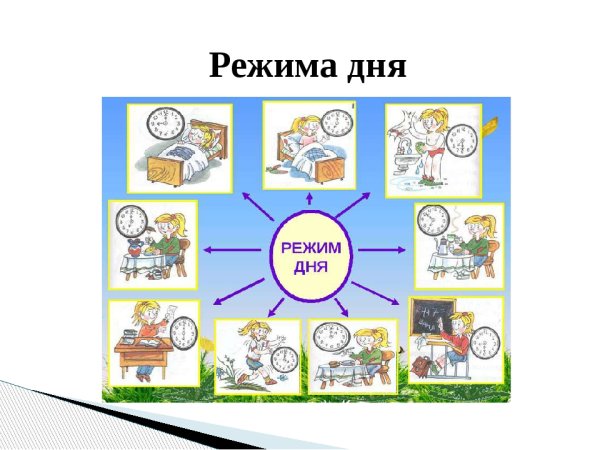 Режим одно из главных слагаемых здорового образа жизни