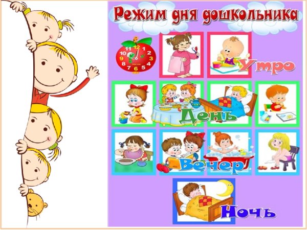 Мой день распорядок дня