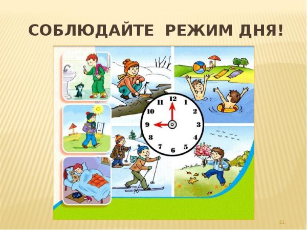 Проект режим дня