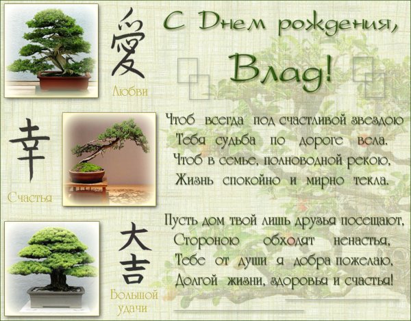 Поздравления с днём рождения владу