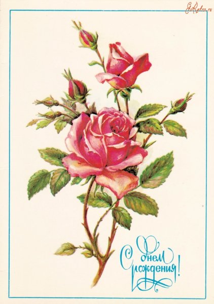 Советские открытки с розами