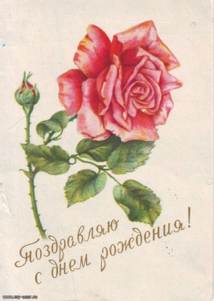 Поздравительная открытка