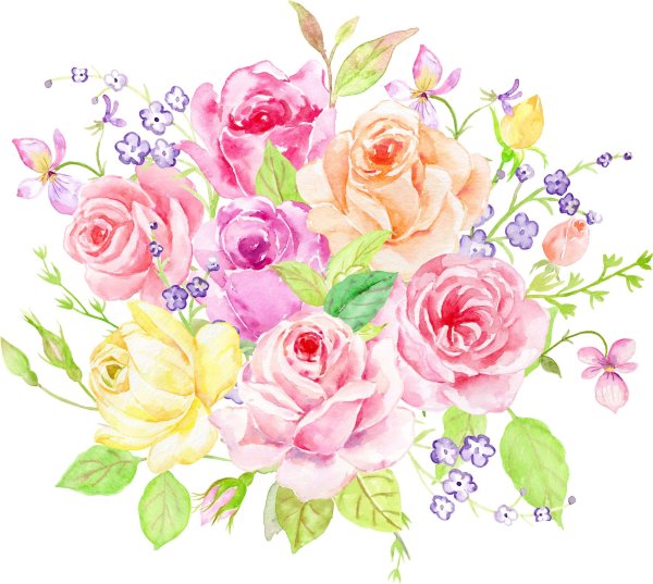 Цветы иллюстрация