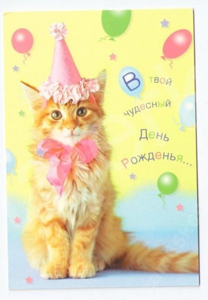 Поздравление с котом