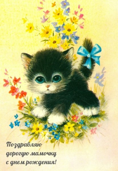 Открытка «котики»