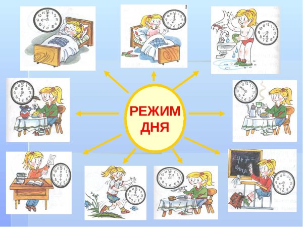 Распорядок дня