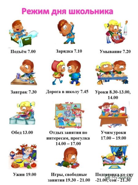 Распорядок дня