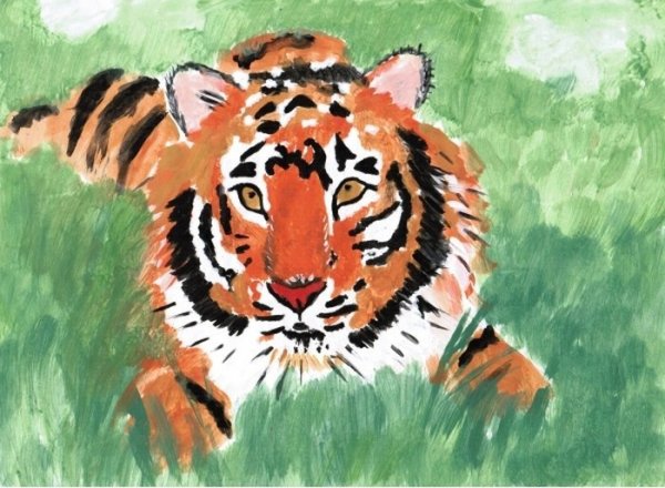 Тигр рисунок для детей