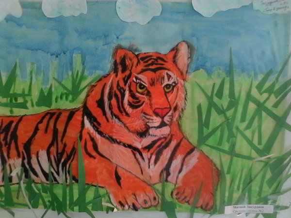 Нарисовать Амурского тигра