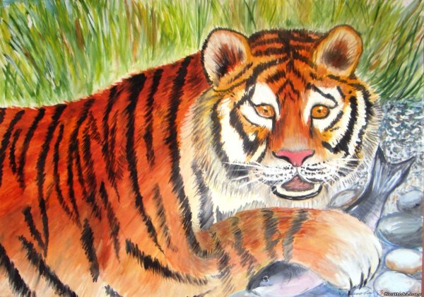 Конкурс рисунков Амурский тигр