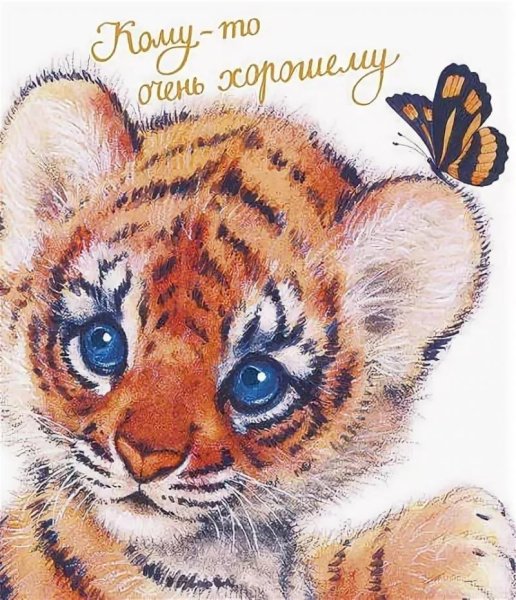 Любимый Тигренок