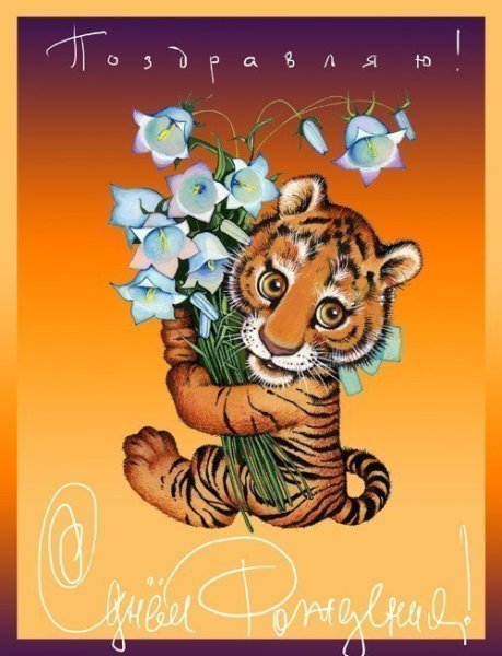 Открытка с тигром