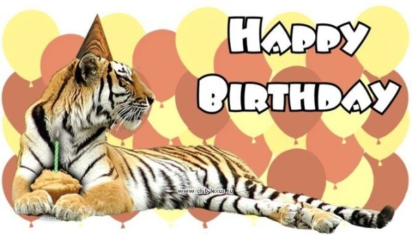 С днем рождения тигр