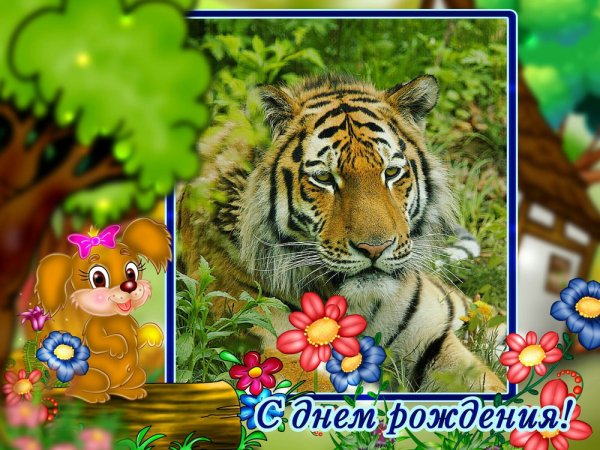 С днём рождения тигра