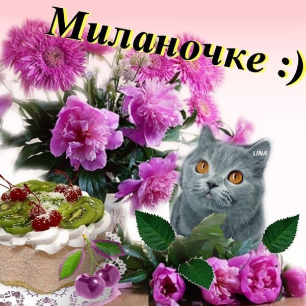С днём рождения Миланочка