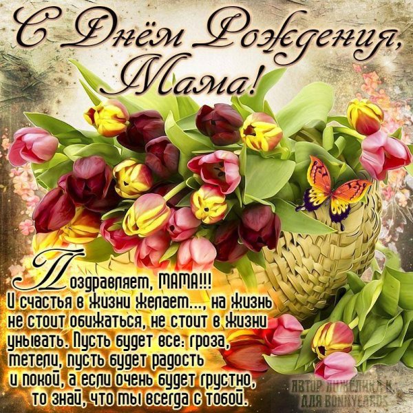 Поздравления с днём рождения ЖМАМЕ