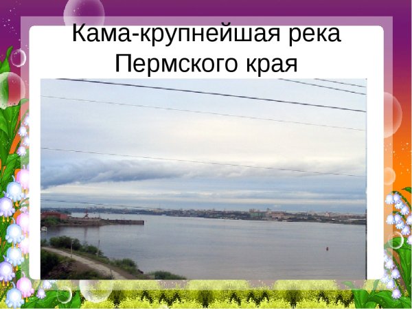 Пермский край Стелла
