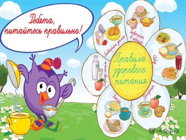Смешарики правильное питание