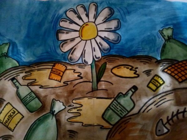 Выставка экологических плакатов