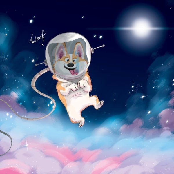 Собаки в космосе