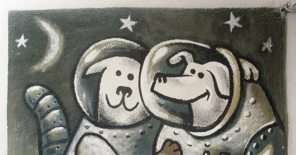 Белка и стрелка граффити