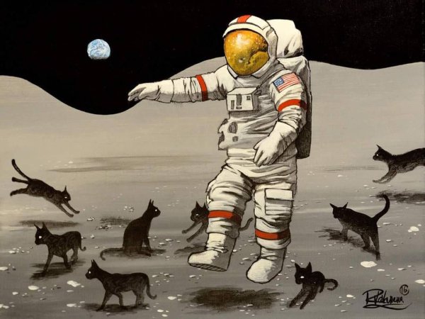 Коты космонавты