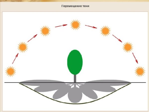 Движение тени в течение дня