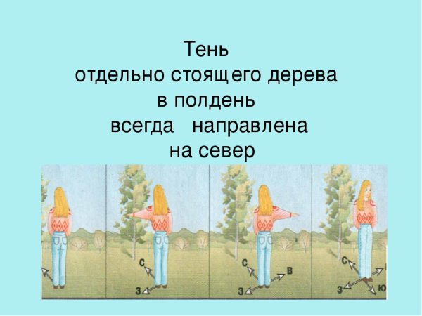 В полдень тень падает
