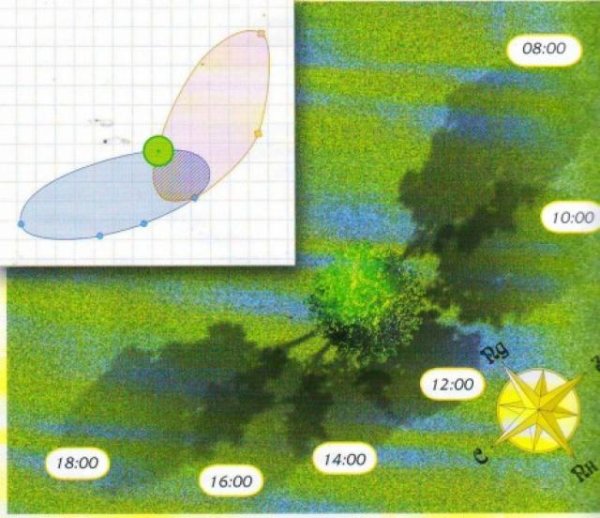 Тень от дома на участке
